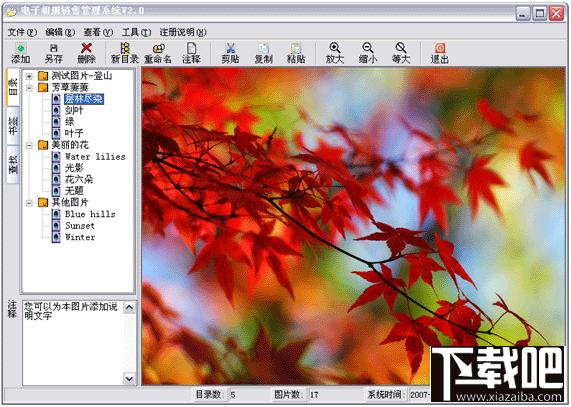 电子相册销售管理系统,电子相册销售管理系统下载,电子相册销售管理系统官方下载