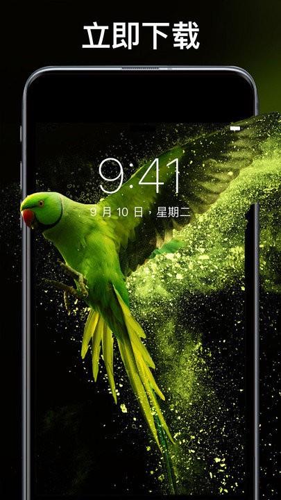 动态主题壁纸超清软件手机版下载,动态主题壁纸超清软件,壁纸app,主题app